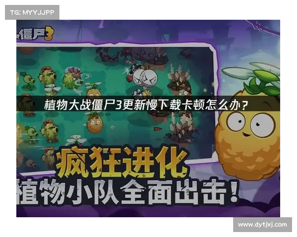 梦幻西游玩家必备团队协作技巧全面指南助你快速提升游戏表现